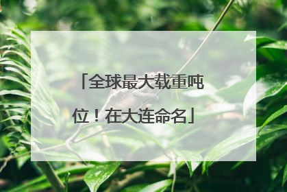 全球最大载重吨位！在大连命名