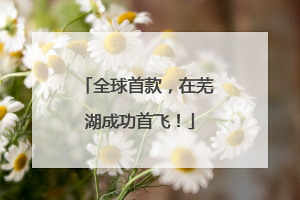 全球首款，在芜湖成功首飞！