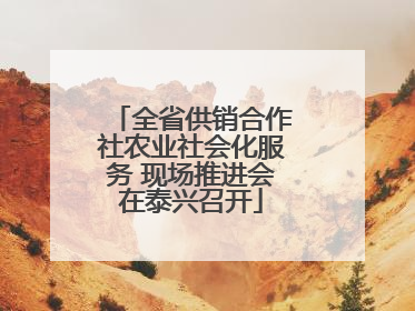 全省供销合作社农业社会化服务 现场推进会在泰兴召开