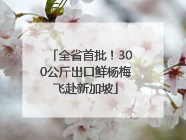 全省首批！300公斤出口鲜杨梅飞赴新加坡