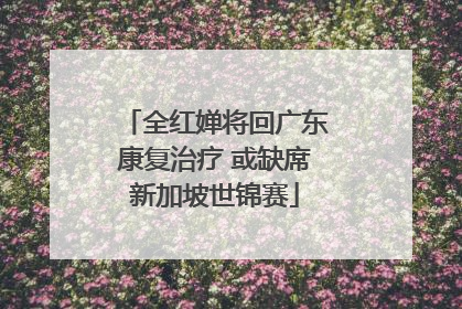 全红婵将回广东康复治疗 或缺席新加坡世锦赛
