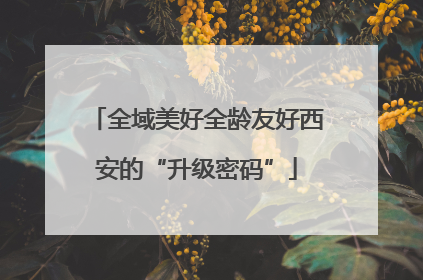 全域美好全龄友好西安的“升级密码”