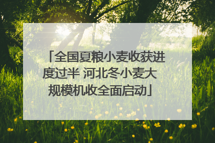 全国夏粮小麦收获进度过半 河北冬小麦大规模机收全面启动
