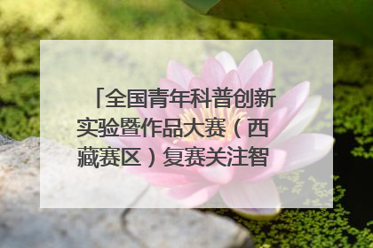 全国青年科普创新实验暨作品大赛（西藏赛区）复赛关注智慧环保等主题