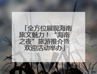 全方位展现海南旅文魅力！“海南之夜”旅游推介暨欢迎活动举办