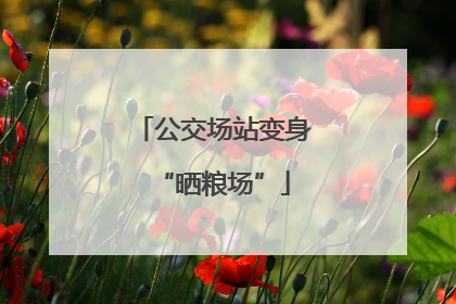 公交场站变身“晒粮场”