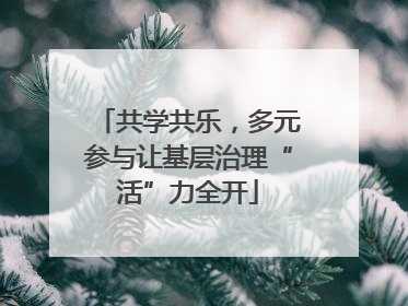 共学共乐，多元参与让基层治理“活”力全开