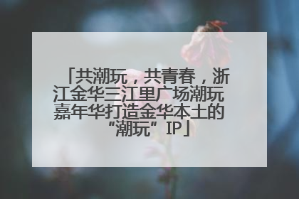 共潮玩，共青春，浙江金华三江里广场潮玩嘉年华打造金华本土的“潮玩”IP