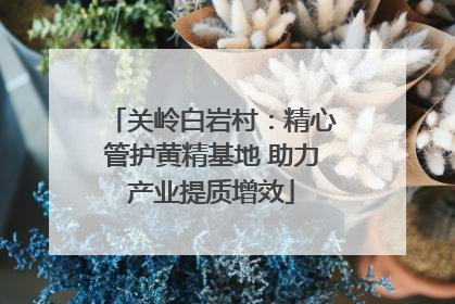 关岭白岩村：精心管护黄精基地 助力产业提质增效