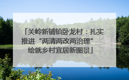 关岭新铺镇卧龙村：扎实推进“两清两改两治理” 绘就乡村宜居新图景