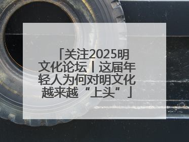 关注2025明文化论坛丨这届年轻人为何对明文化越来越“上头”