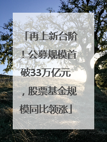 再上新台阶！公募规模首破33万亿元，股票基金规模同比领涨