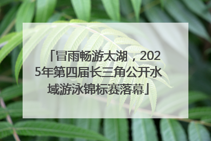 冒雨畅游太湖，2025年第四届长三角公开水域游泳锦标赛落幕