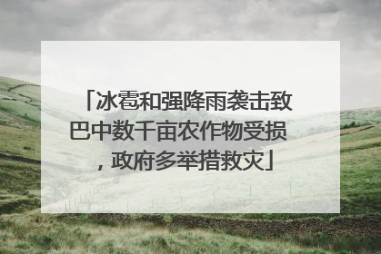 冰雹和强降雨袭击致巴中数千亩农作物受损，政府多举措救灾