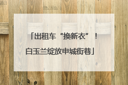 出租车“换新衣”！白玉兰绽放申城街巷