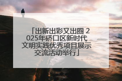 出新出彩又出圈 2025年硚口区新时代文明实践优秀项目展示交流活动举行