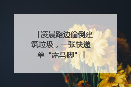 凌晨路边偷倒建筑垃圾，一张快递单“露马脚”