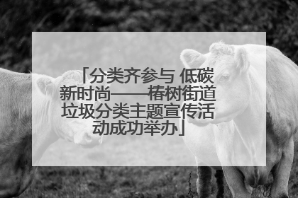 分类齐参与 低碳新时尚——椿树街道垃圾分类主题宣传活动成功举办
