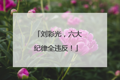 刘彩光，六大纪律全违反！
