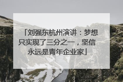 刘强东杭州演讲：梦想只实现了三分之一，坚信永远是青年企业家