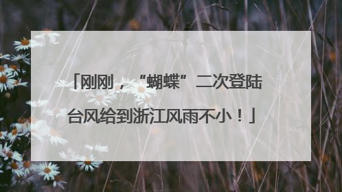刚刚，“蝴蝶”二次登陆 台风给到浙江风雨不小！