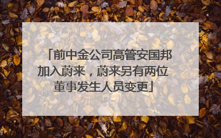 前中金公司高管安国邦加入蔚来，蔚来另有两位董事发生人员变更