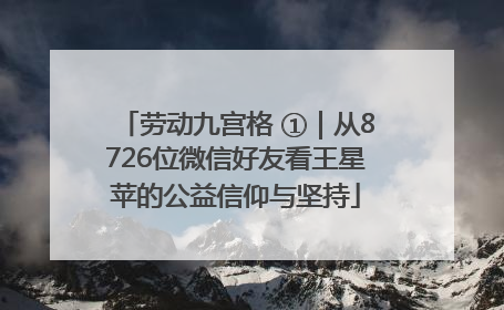 劳动九宫格 ①｜从8726位微信好友看王星苹的公益信仰与坚持