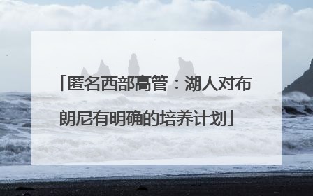 匿名西部高管：湖人对布朗尼有明确的培养计划