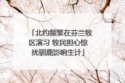 北约频繁在芬兰牧区演习 牧民担心惊扰驯鹿影响生计