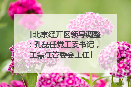 北京经开区领导调整：孔磊任党工委书记，王磊任管委会主任