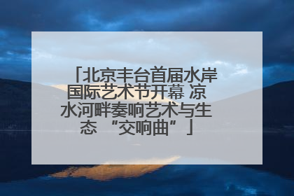 北京丰台首届水岸国际艺术节开幕 凉水河畔奏响艺术与生态 “交响曲”