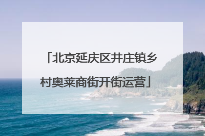 北京延庆区井庄镇乡村奥莱商街开街运营