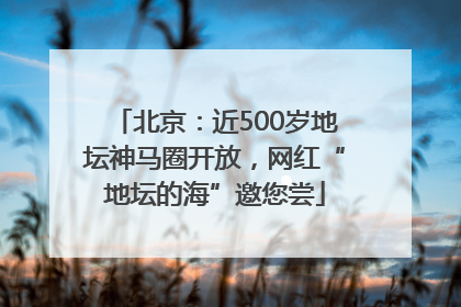 北京：近500岁地坛神马圈开放，网红“地坛的海”邀您尝