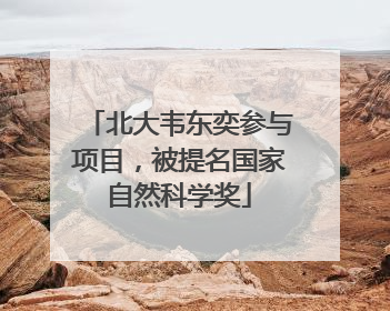 北大韦东奕参与项目，被提名国家自然科学奖