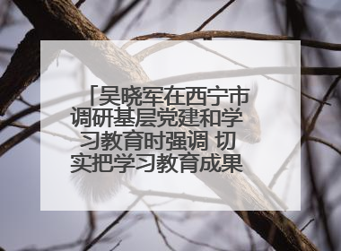 吴晓军在西宁市调研基层党建和学习教育时强调 切实把学习教育成果转化为惠民实效
