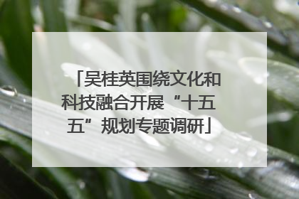 吴桂英围绕文化和科技融合开展“十五五”规划专题调研