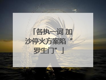各执一词 加沙停火方案陷“罗生门”