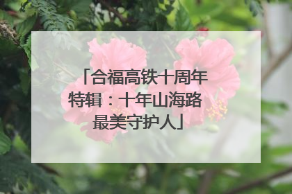 合福高铁十周年特辑：十年山海路 最美守护人