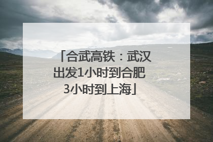 合武高铁:武汉出发1小时到合肥3小时到上海