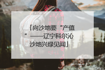 向沙地要“产值”——辽宁科尔沁沙地兴绿见闻