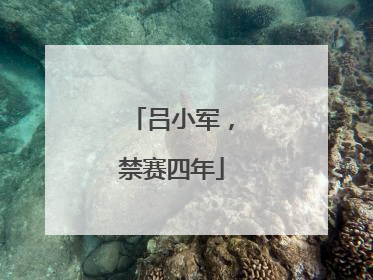 吕小军，禁赛四年