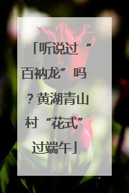 听说过“百衲龙”吗？黄湖青山村“花式”过端午
