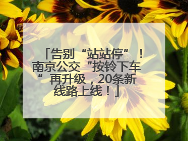 告别“站站停”！南京公交“按铃下车”再升级，20条新线路上线！