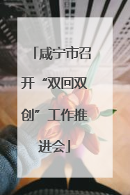 咸宁市召开“双回双创”工作推进会