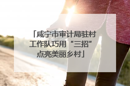咸宁市审计局驻村工作队巧用“三招”点亮美丽乡村