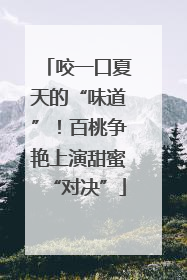 咬一口夏天的“味道”！百桃争艳上演甜蜜“对决”