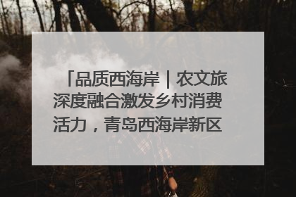 品质西海岸｜农文旅深度融合激发乡村消费活力，青岛西海岸新区的乡村振兴实践