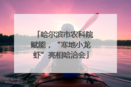 哈尔滨市农科院赋能，“寒地小龙虾”亮相哈洽会