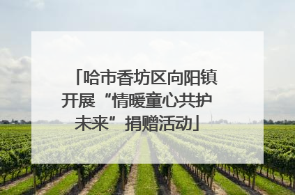哈市香坊区向阳镇开展“情暖童心共护未来”捐赠活动