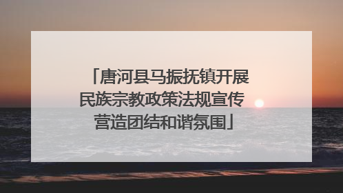 唐河县马振抚镇开展民族宗教政策法规宣传 营造团结和谐氛围